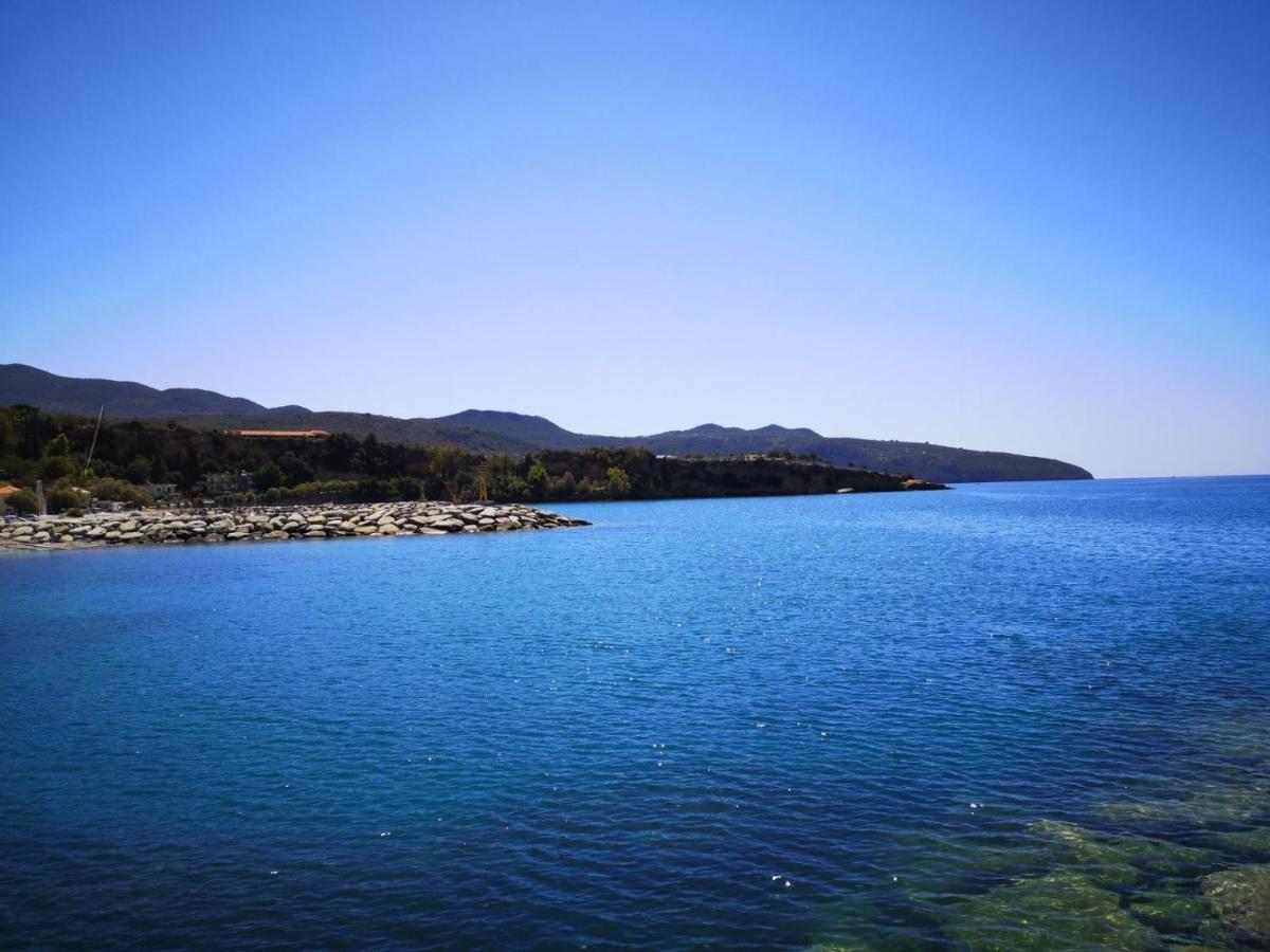 Panos&Antzy Apartments Kalamata Zewnętrze zdjęcie