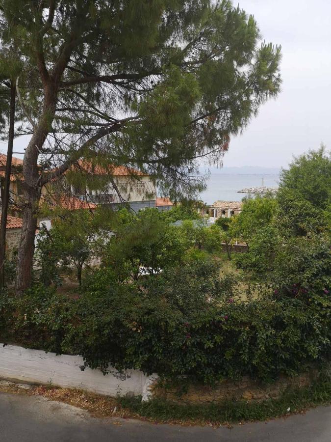 Panos&Antzy Apartments Kalamata Zewnętrze zdjęcie