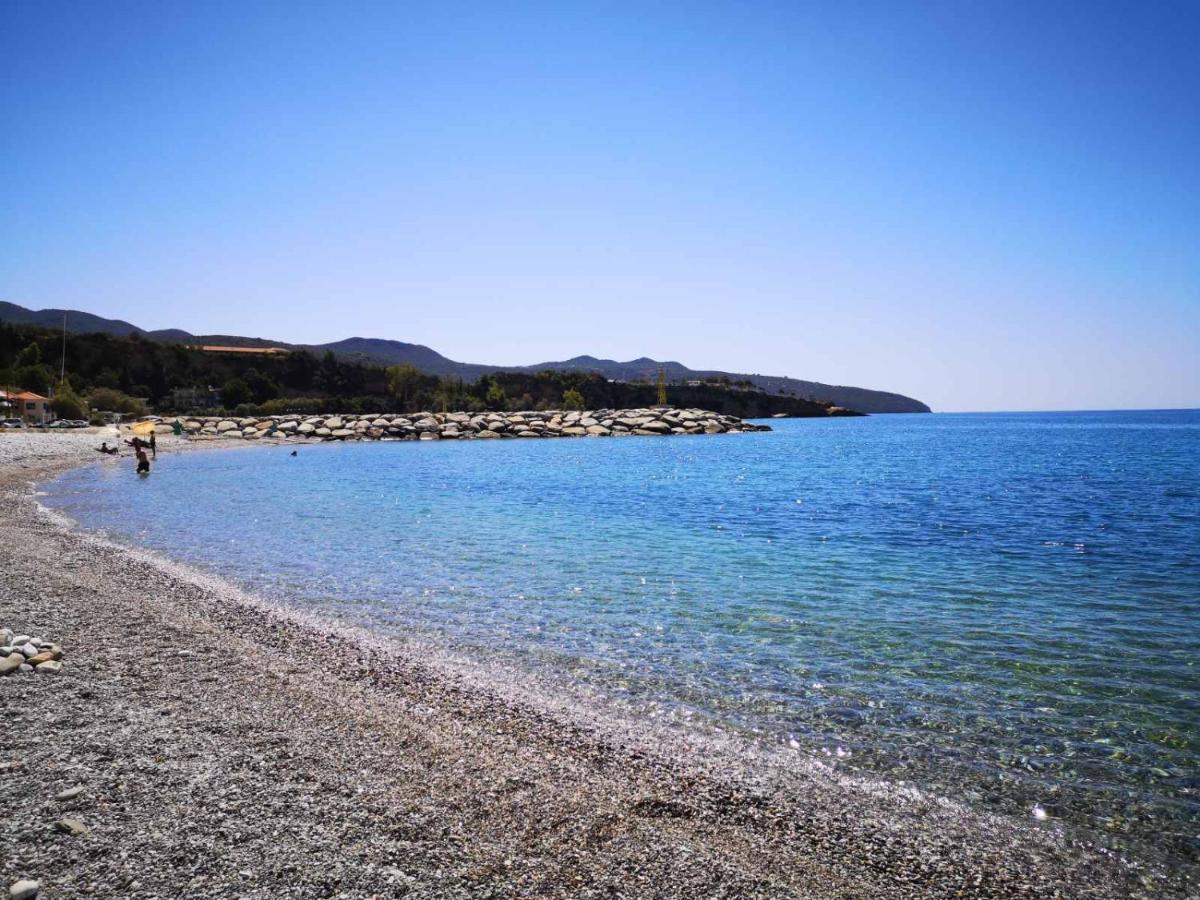 Panos&Antzy Apartments Kalamata Zewnętrze zdjęcie
