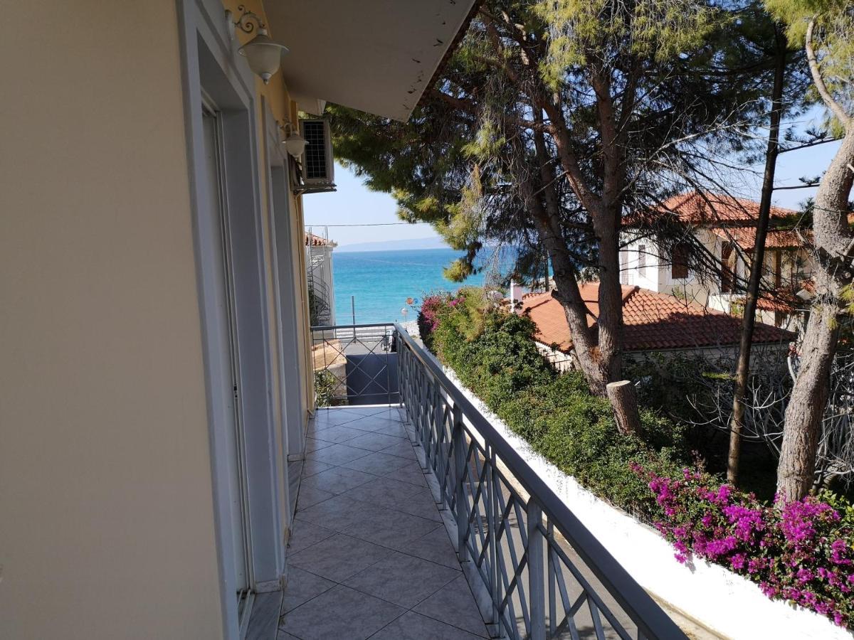 Panos&Antzy Apartments Kalamata Zewnętrze zdjęcie